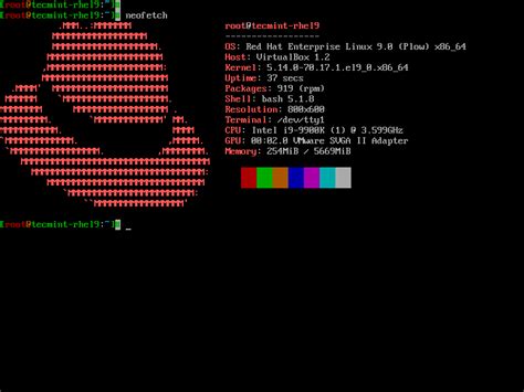 linux server distro with gui.